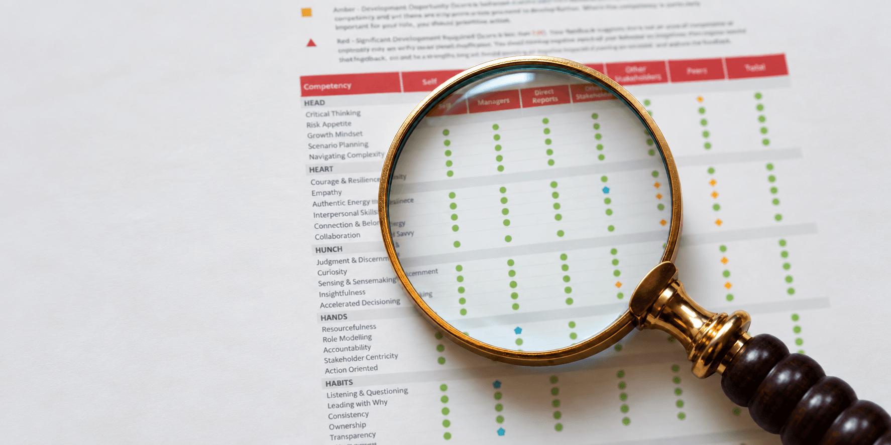 A magnifying glass over the 5H competency profile